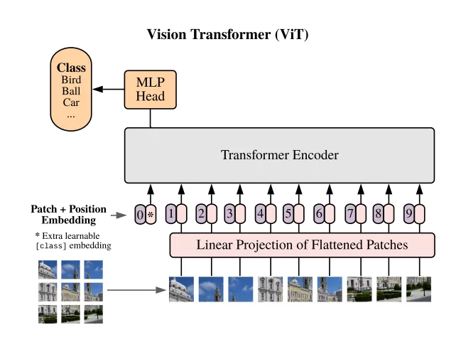 Vision Transformer Implementation
